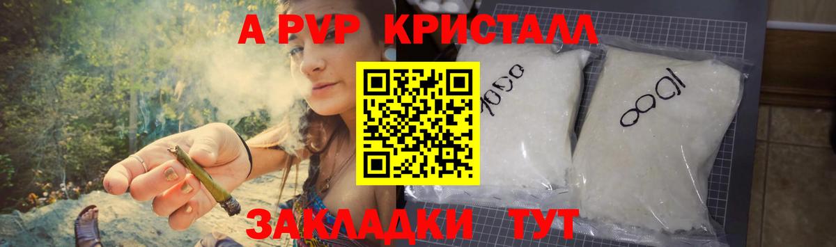 A-PVP СК КРИС Моздок