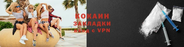 ешки Дмитриев