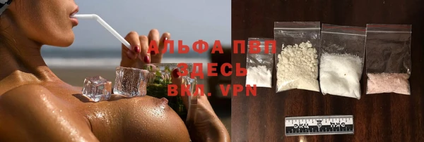 стаф Алексеевка